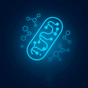 Growth & Hormone Support